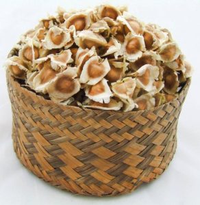 Hình ảnh về hạt chùm ngây 