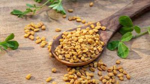 Hạt methi có hình dáng hơi oval và bề mặt nhẵn, màu nâu đỏ hoặc vàng nhạt 