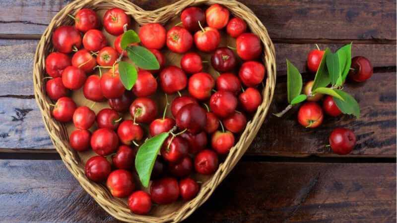 Quả sơ ri có hình dáng tròn hoặc hình bầu dục, vỏ màu đỏ hoặc tím và thịt màu vàng nhạt