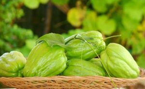 Su le chứa kali, magie và các khoáng chất giúp giảm áp lực máu, tăng cường chức năng tim mạch