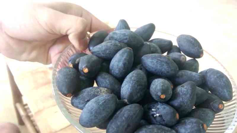 Thanh quả giảm ốm nghén 