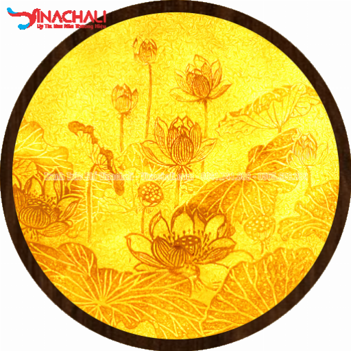 Lịch Sử Của Mica
